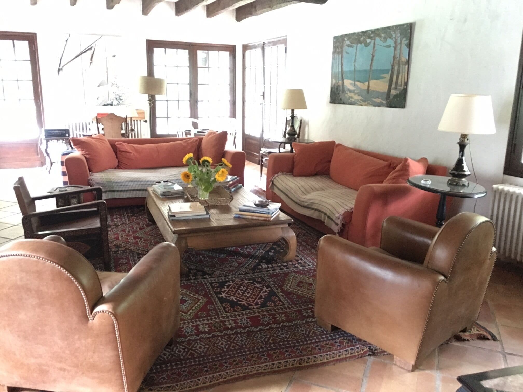 Télévision, cheminée, lecteur de DVD, table de tennis de table