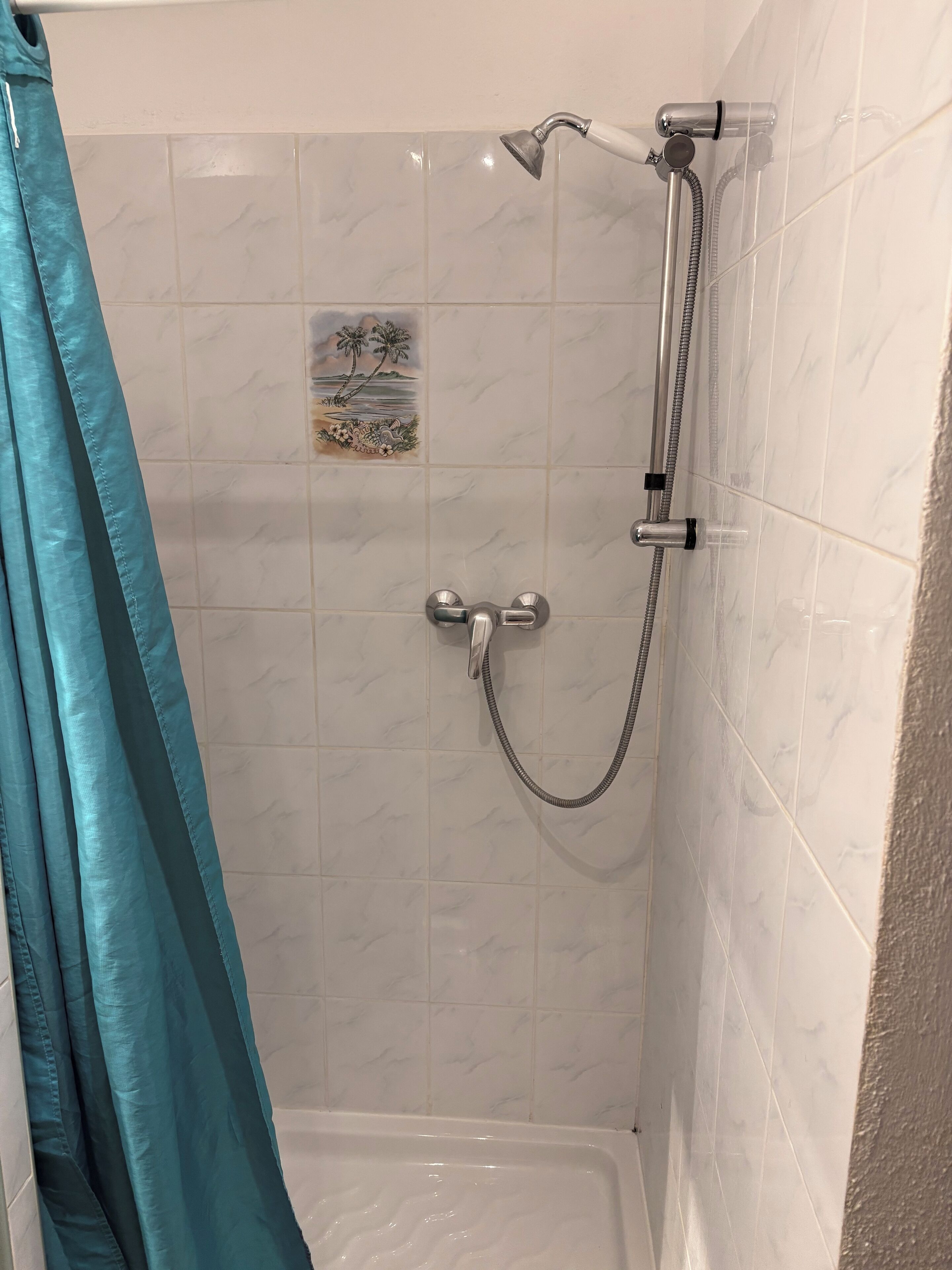 Un espace douche équipé d’un pommeau de douche à main, d’un panneau de commande mural et d’un sol carrelé.
