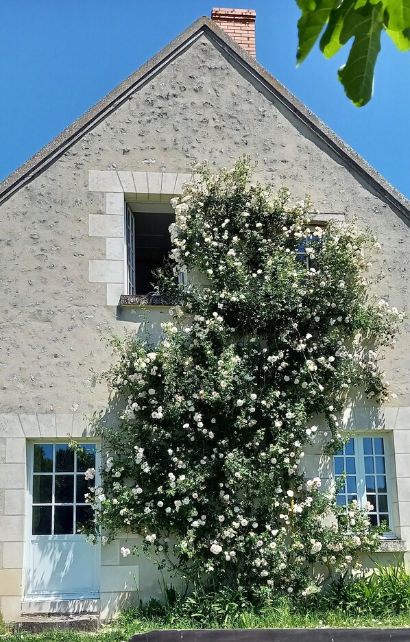 Details aan de buitenkant