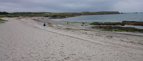 Vlak bij het strand