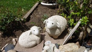 Two sheep-shaped garden sculptures made of pebbles and stones, surrounded by a garden bed with green plants and a small pond.