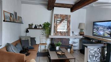 TV, fireplace, DVD player, books