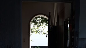 A doorway leading to an outdoor area with a view of a street and trees. - THE FLEET IN RE classified ** (La Flotte)