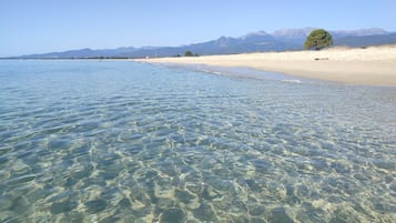 Tæt på stranden