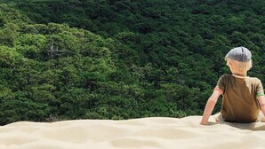 Une personne assise sur des dunes de sable, d’où elle a une vue imprenable sur une forêt dense.