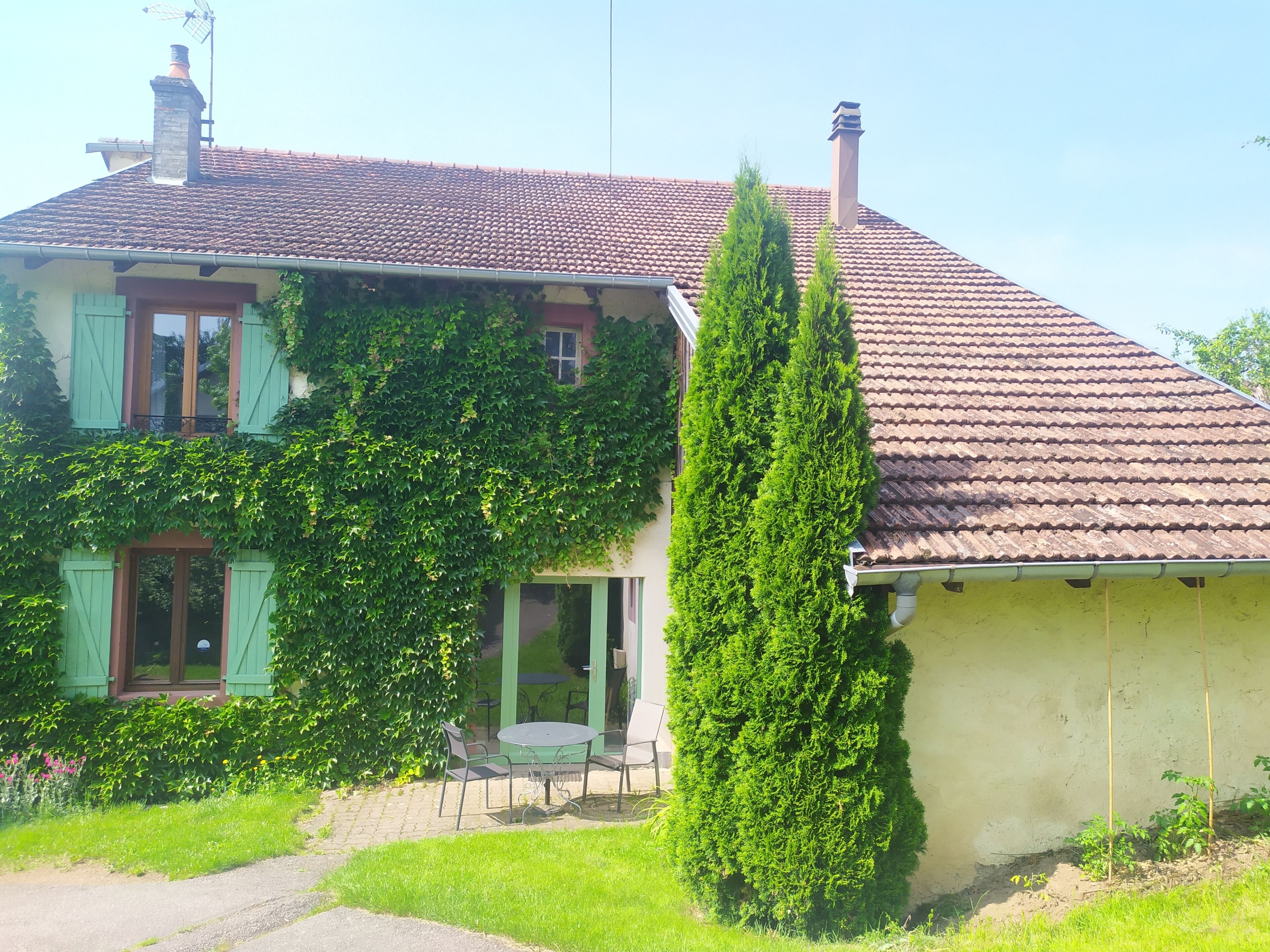 A house with a tiled roof, a chimney, and a green ivy-covered wall.