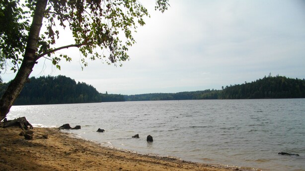Ranta