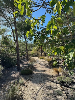 A gravel path surrounded by trees and shrubs, leading through a natural landscape. - SUPERB HOME ALL COMFORT, SWIMMING POOL and PRIVATE JACUZZI in a NATURAL setting (Argens-Minervois)