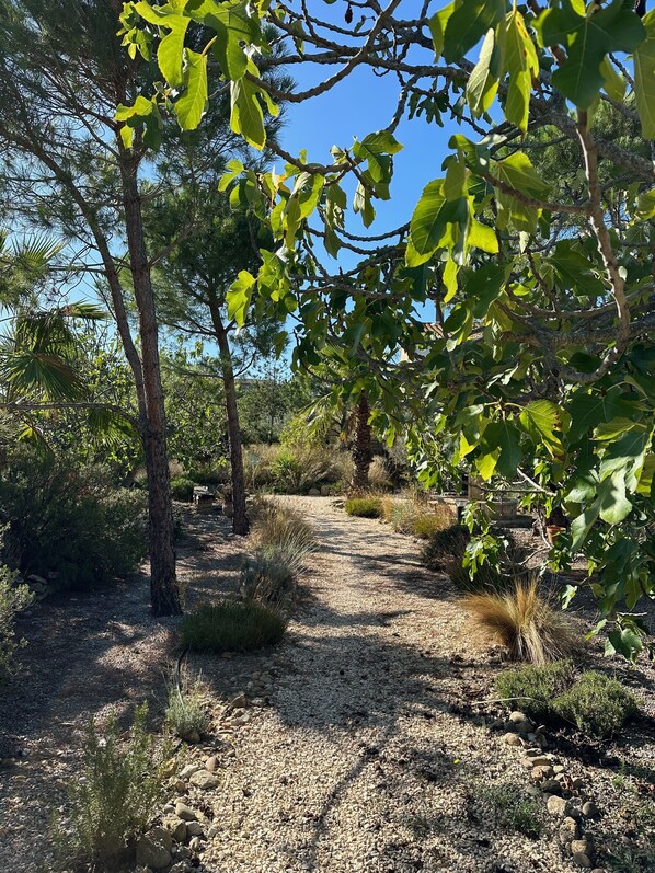 المنطقة المحيطة بالمنشأة