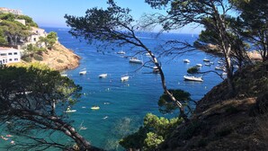 Vista costeira com barcos, árvores e edifícios.
