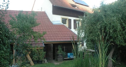 At the foot of the Vosges mountains near ski resorts and vineyards.
