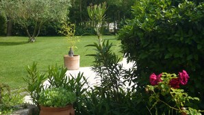 A garden with a variety of plants, a statue, and a pathway. - VERY NICE HOUSE WITH LUBERON POOL (Cavaillon)