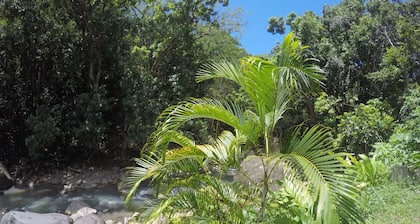 Bungalow rental at Saut d'Acomat - Pointe-Noire>Rentcar https://locasgp.com
