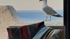 A seagull on a ledge with a view of the sea. - Renovated villa with exceptional panoramic view (Banyuls-Sur-Mer)
