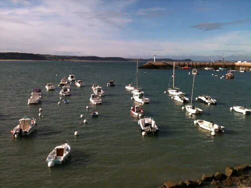 Belle vue sur le port et le Verdelet. En rez de jardin. Wifi  