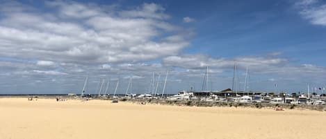 在海灘附近