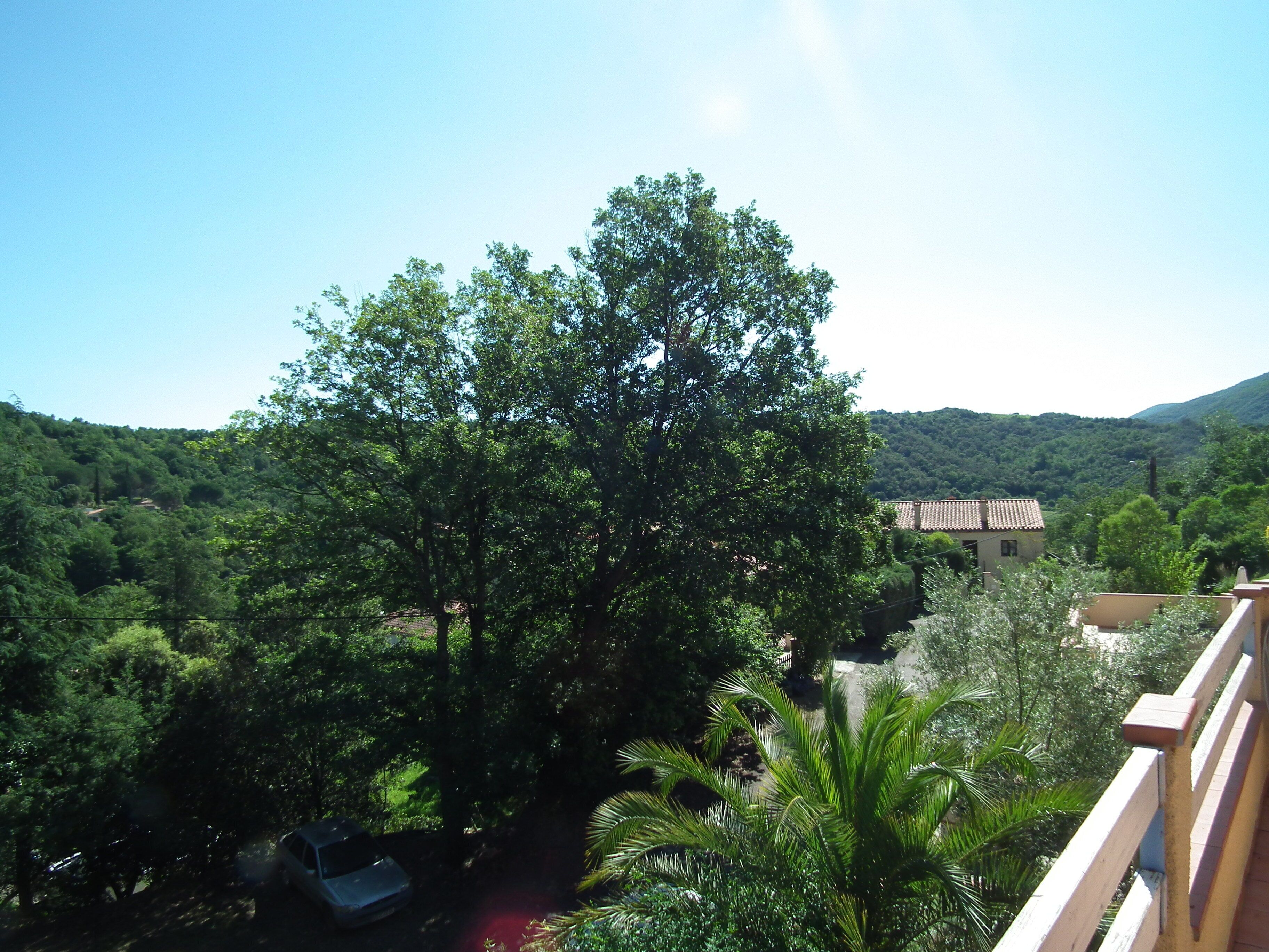 Un paisaje verde y exuberante con un árbol grande al frente, un edificio con techo de tejas en el fondo y un cielo azul despejado.