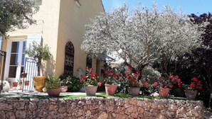 A building with a stone wall in front, potted plants, and a clear sky.