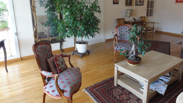 A living room with a large mirror, two chairs, a coffee table, and a potted plant. - App. 93m2 bright calm tt comfort, terrace, garage, hyper-center, close station (Annecy)