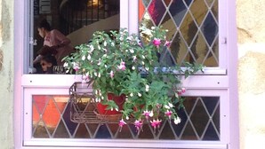 Ein Fenster mit einem schmiedeeisernen Chandelier, einer Kübelpflanze mit Blumen und einem Blick auf eine Treppe im Inneren.