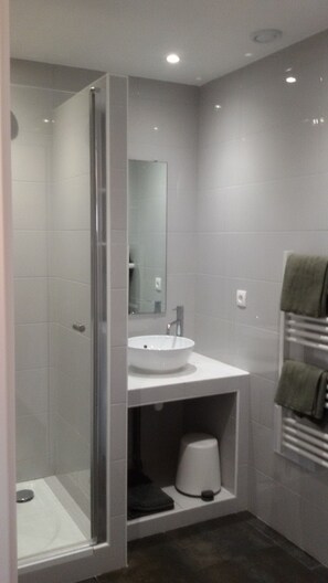 Shower, hair dryer, towels, toilet paper