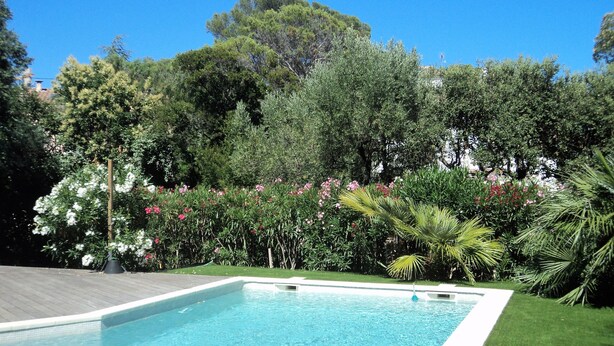 A rectangular swimming pool with a wooden deck and a grassy area.