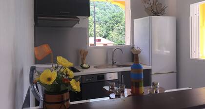 Ă Fil de l'Eau:GĂźte Ă Bleu Nature; montagne et riviĂšre Ă Pointe-Noire,2,4,6 pers