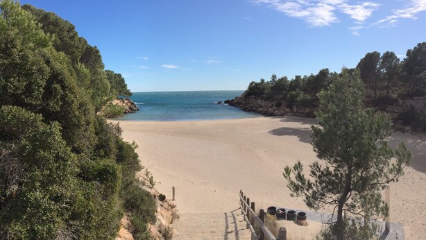 A beach with a wooden walkway leading to the shore, surrounded by dense greenery and rocky cliffs.