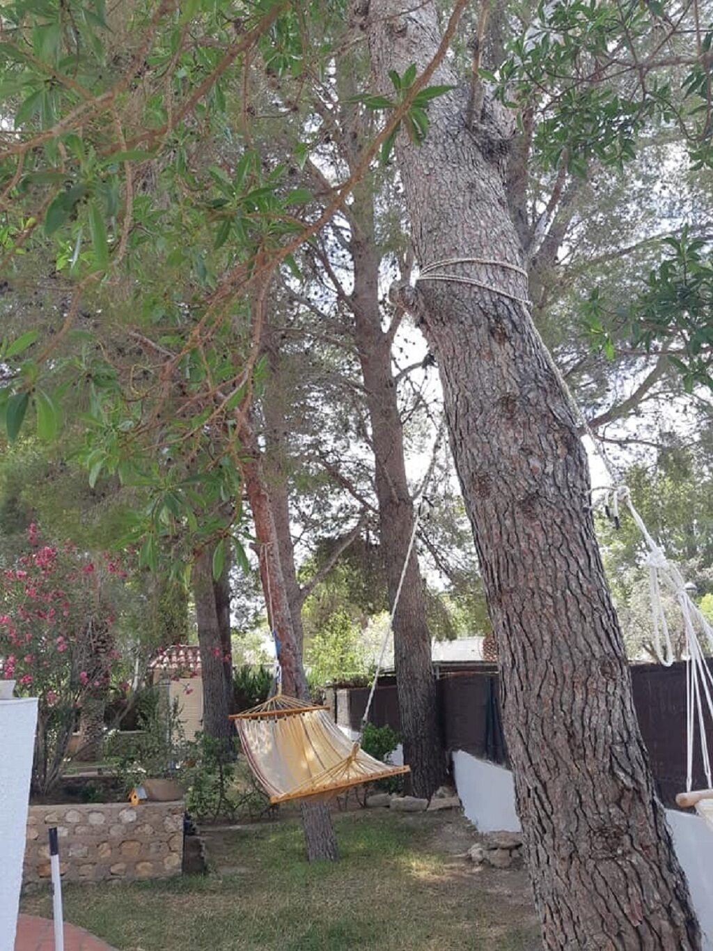 Una hamaca colgada de un árbol en un patio trasero, con un muro de piedra y una caseta pequeña al fondo.