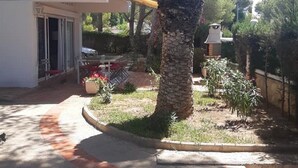 A residential area with a house, a palm tree, and a paved driveway.