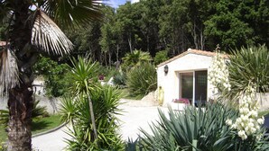 A small building with a door and windows, surrounded by various plants and trees. - Corsica, self-contained studio, private pool and garden, Ajaccio region (Santa-Maria-Siché)
