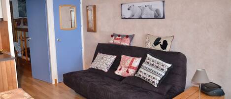 تلفزيون، مشغل دي في دي، كُتُب، مكتبة فيديو