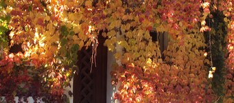 Sommerhus i Châteaurenard de Provence