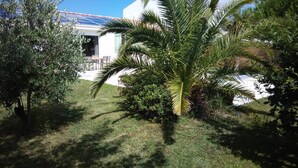 Een tuin met een palmboom, een struikje en een gebouw met een witte gevel en een blauw dak.