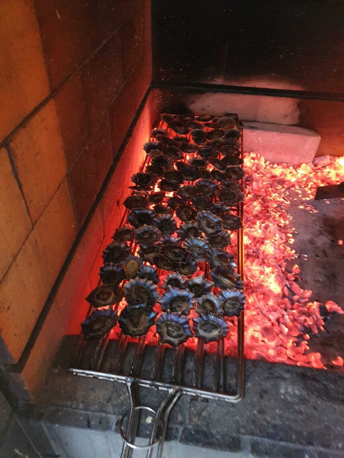 Des huîtres sont grillées sur une grille au-dessus de braises, dans un espace intérieur.