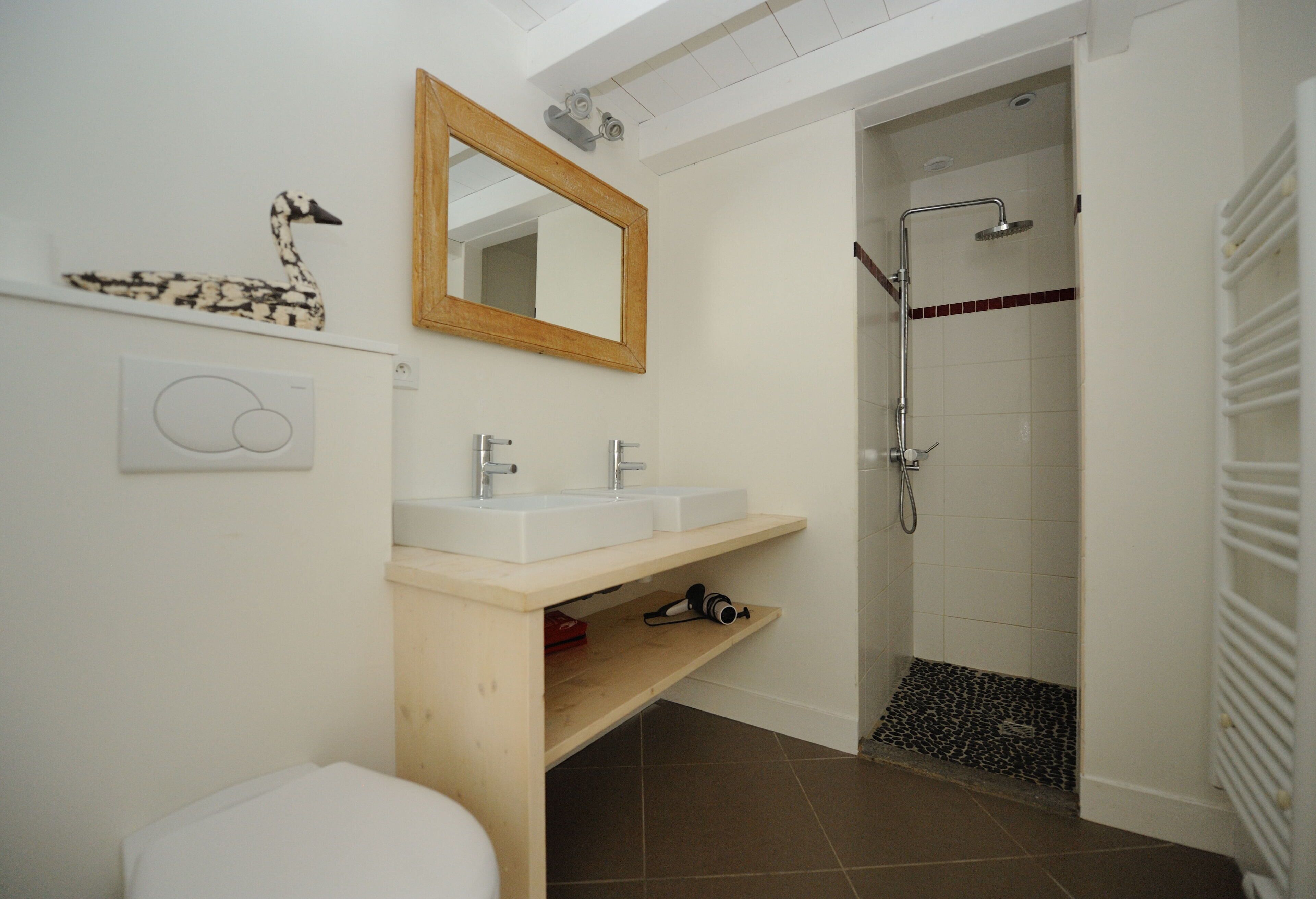 Salle d'eau 1
Visite virtuelle : http://gaspard17.free.fr/laflotte2017.html