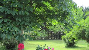 Un jardín con césped verde exuberante y una variedad de plantas con flores, incluyendo rosas.