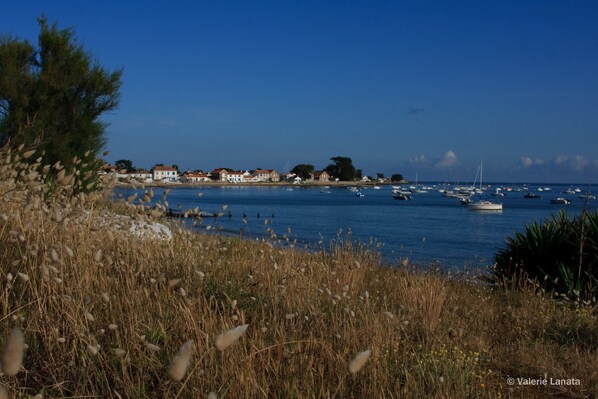 In Strandnähe, Liegestühle