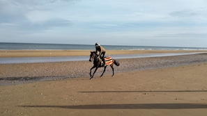 Beach nearby