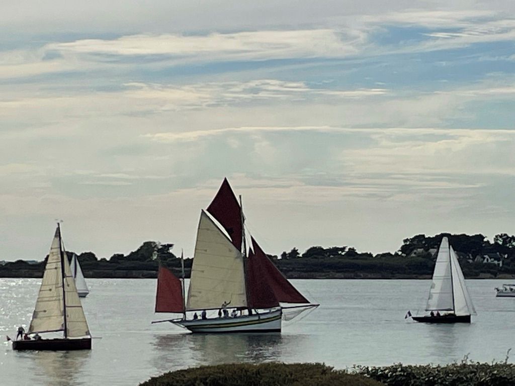 A calm body of water with sailboats.