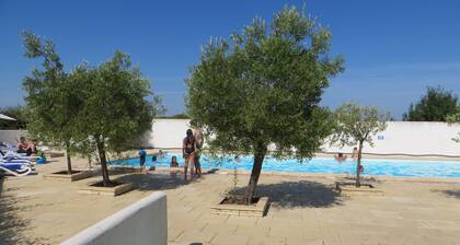 JOLI STUDIO LA FLOTTE EN RE , PISCINE CHAUFFEE