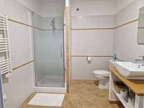 Douche, séchoir à cheveux, serviettes fournies