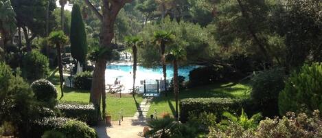 A landscaped garden with a large tree, a pool, and a seating area.