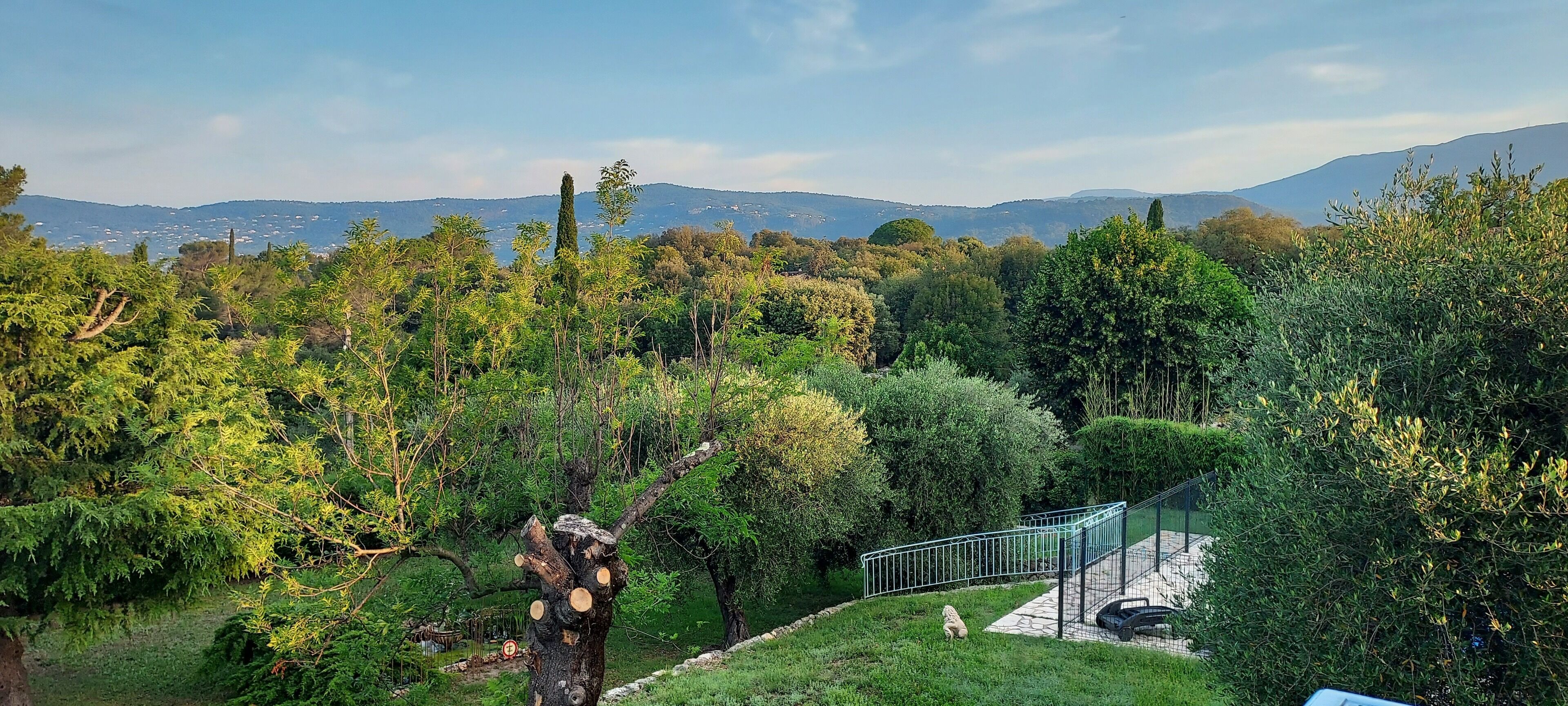 A lush green landscape with a metal staircase leading up to a viewing platform, surrounded by dense trees and a distant mountain range.