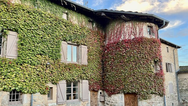 A stone building with ivy-covered walls and wooden shutters, featuring a cobblestone courtyard. - Charming 17th century residence, Calm, Livradois Forez Natural Park, Olliergues (Olliergues)