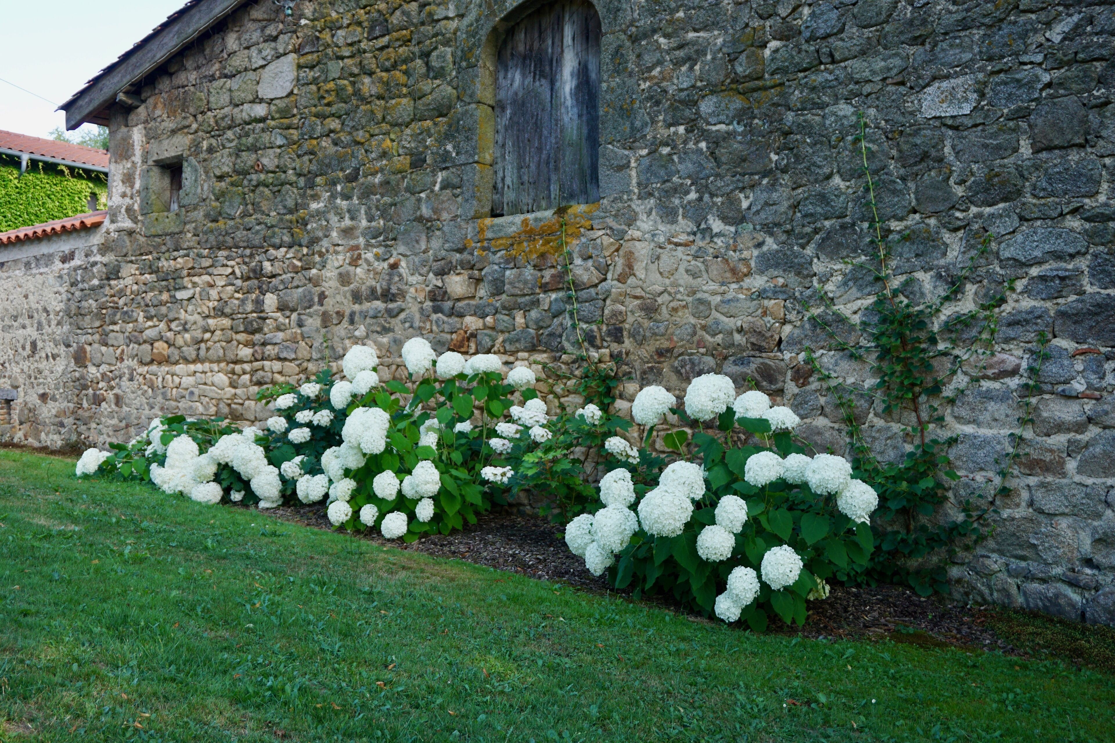 Àrea exterior de l'allotjament