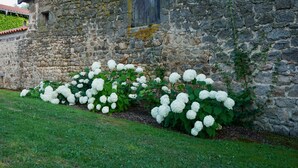 A stone building with a window and a garden with white flowers. - Charming 17th century residence, Calm, Livradois Forez Natural Park, Olliergues (Olliergues)