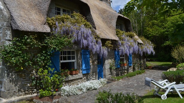 A stone cottage with thatched roofs, blue shutters, and hanging purple flowers. - New - Charming thatched cottage in the water with swimming pool  (Pointe de Grignallou)