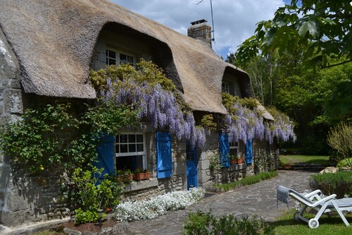 New - Charming thatched cottage in the water with swimming pool 