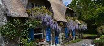 New - Charming thatched cottage in the water with swimming pool 